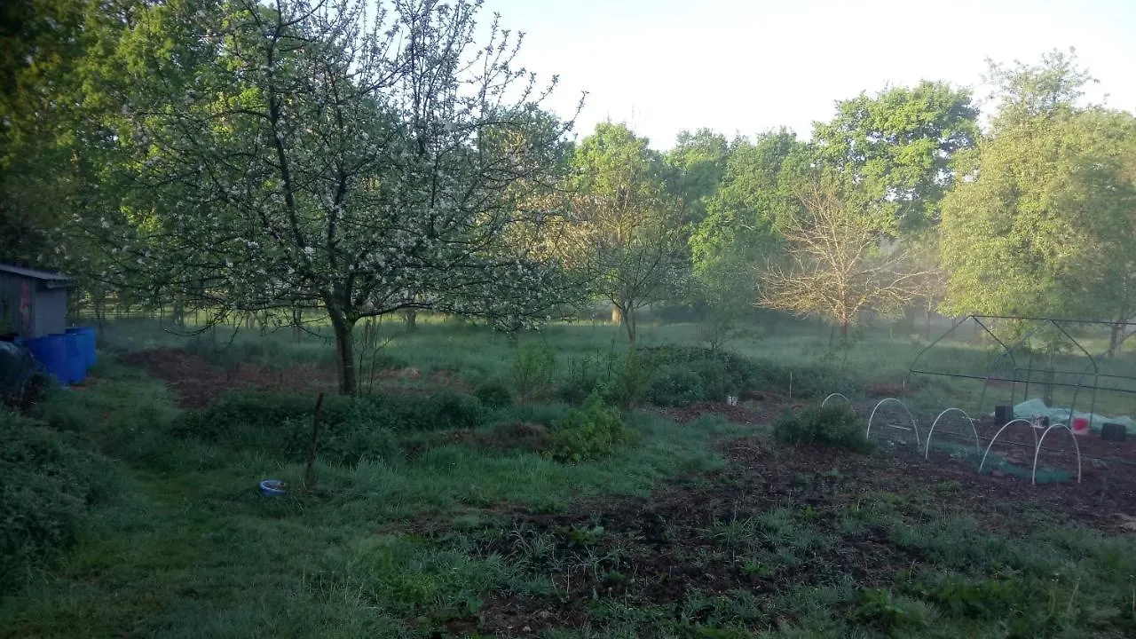 La Roulotte Chainoux Bains-sur-Oust Campsite